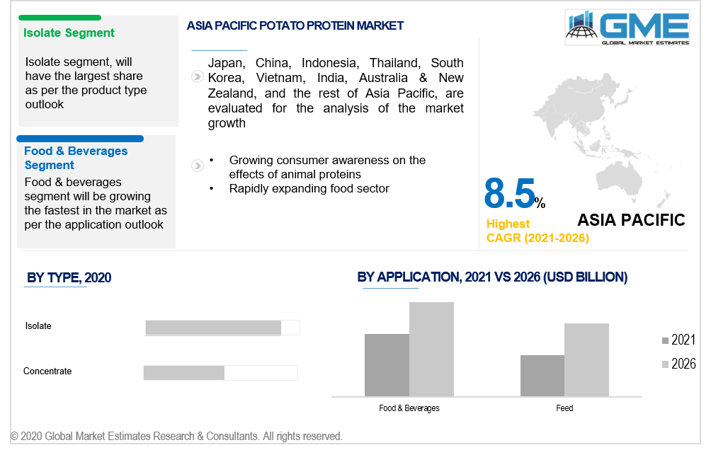 asia pacific potato protein market